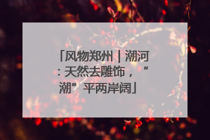 风物郑州｜潮河：天然去雕饰，“潮”平两岸阔