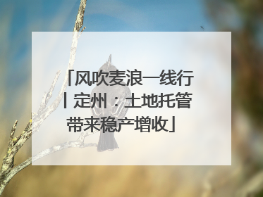 风吹麦浪一线行丨定州：土地托管带来稳产增收