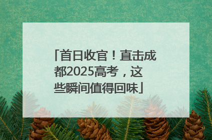 首日收官！直击成都2025高考，这些瞬间值得回味