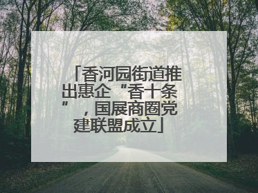 香河园街道推出惠企“香十条”，国展商圈党建联盟成立