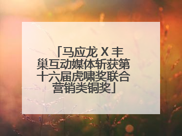 马应龙 X 丰巢互动媒体斩获第十六届虎啸奖联合营销类铜奖