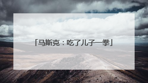 马斯克：吃了儿子一拳