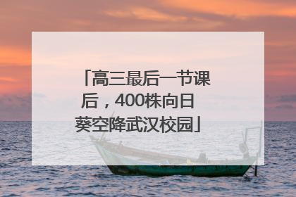高三最后一节课后，400株向日葵空降武汉校园