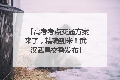 高考考点交通方案来了，精确到米！武汉武昌交警发布