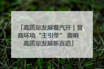 高质量发展看汽开｜营商环境“主引擎” 轰响高质量发展新赛道