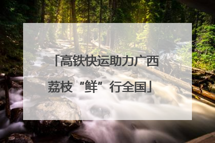 高铁快运助力广西荔枝“鲜”行全国