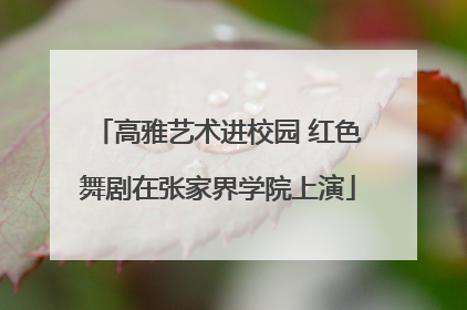 高雅艺术进校园 红色舞剧在张家界学院上演