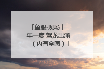 鱼眼·现场丨一年一度 驾龙出涌（内有全图）