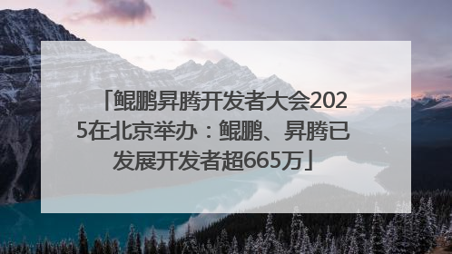 鲲鹏昇腾开发者大会2025在北京举办：鲲鹏、昇腾已发展开发者超665万