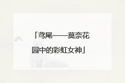 鸢尾——莫奈花园中的彩虹女神