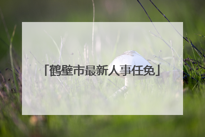 鹤壁市最新人事任免