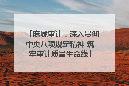 麻城审计：深入贯彻中央八项规定精神 筑牢审计质量生命线
