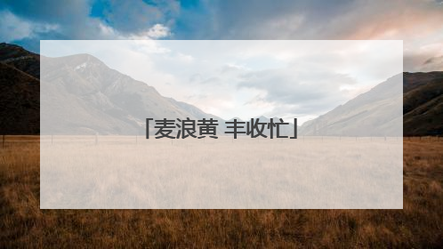 麦浪黄 丰收忙