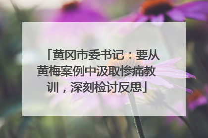 黄冈市委书记：要从黄梅案例中汲取惨痛教训，深刻检讨反思