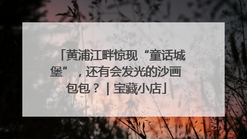 黄浦江畔惊现“童话城堡”，还有会发光的沙画包包？｜宝藏小店