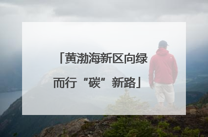 黄渤海新区向绿而行“碳”新路