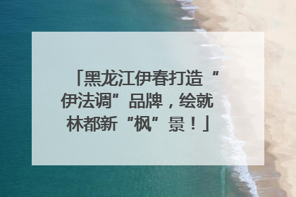 黑龙江伊春打造“伊法调”品牌，绘就林都新“枫”景！