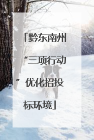 黔东南州“三项行动”优化招投标环境