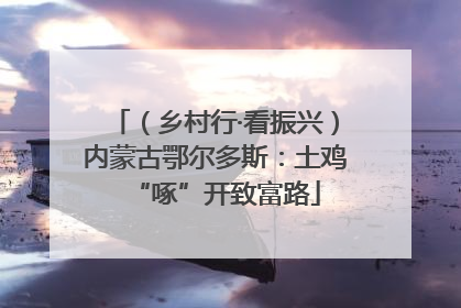 （乡村行·看振兴）内蒙古鄂尔多斯：土鸡“啄”开致富路