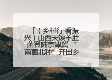 （乡村行·看振兴）山西天镇羊肚菌登陆京津冀 “南菌北种”开出乡村“致富花”