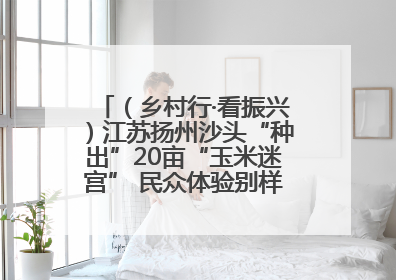 （乡村行·看振兴）江苏扬州沙头“种出”20亩“玉米迷宫” 民众体验别样“田园乐趣”