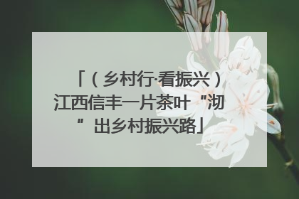 （乡村行·看振兴）江西信丰一片茶叶“沏”出乡村振兴路