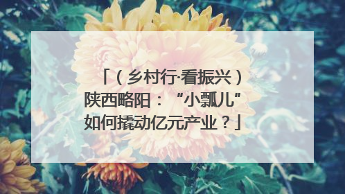 （乡村行·看振兴）陕西略阳：“小瓢儿”如何撬动亿元产业？