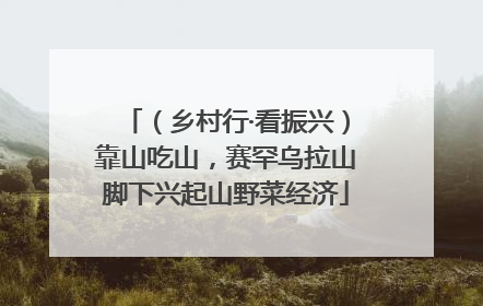 （乡村行·看振兴）靠山吃山，赛罕乌拉山脚下兴起山野菜经济