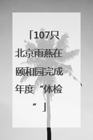 107只北京雨燕在颐和园完成年度“体检”
