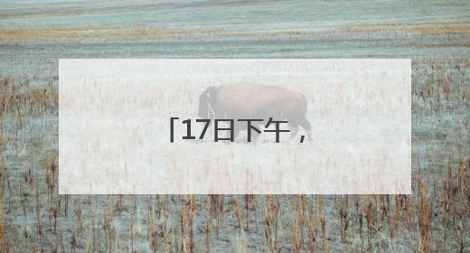 17日下午，到上海路万达广场“问招”去