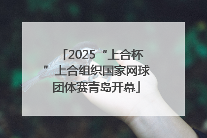 2025“上合杯”上合组织国家网球团体赛青岛开幕