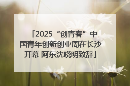 2025“创青春”中国青年创新创业周在长沙开幕 阿东沈晓明致辞