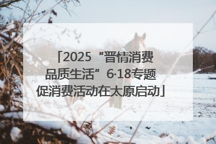 2025“晋情消费 品质生活”6·18专题促消费活动在太原启动