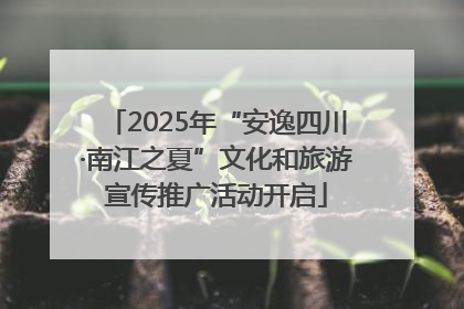 2025年“安逸四川·南江之夏”文化和旅游宣传推广活动开启