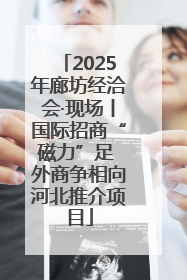 2025年廊坊经洽会·现场丨国际招商“磁力”足 外商争相向河北推介项目