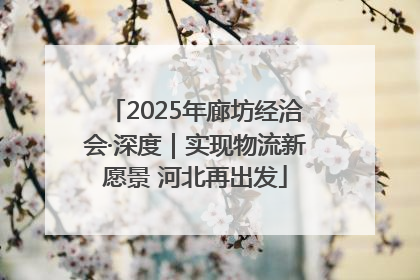 2025年廊坊经洽会·深度｜实现物流新愿景 河北再出发