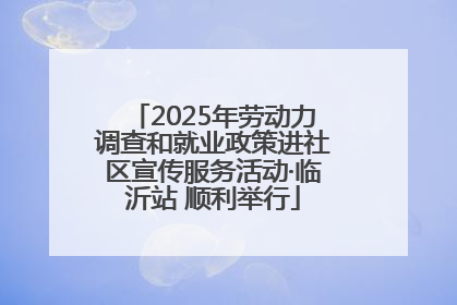 2025年劳动力调查和就业政策进社区宣传服务活动·临沂站 顺利举行