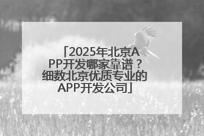 2025年北京APP开发哪家靠谱？细数北京优质专业的APP开发公司