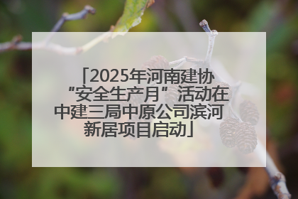 2025年河南建协“安全生产月”活动在中建三局中原公司滨河新居项目启动