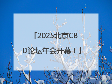 2025北京CBD论坛年会开幕！