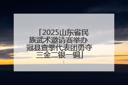 2025山东省民族武术邀请赛举办 冠县查拳代表团勇夺三金二银一铜