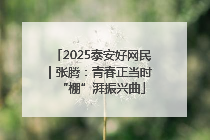 2025泰安好网民｜张腾：青春正当时 “棚”湃振兴曲