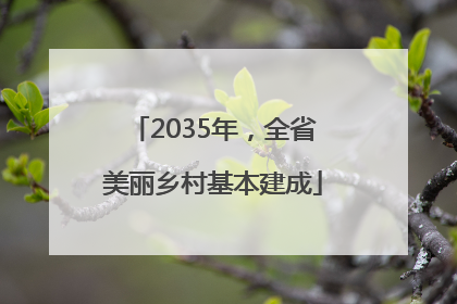 2035年，全省美丽乡村基本建成