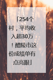 254个村，平均收入超30万！醴陵市这份成绩单有点亮眼