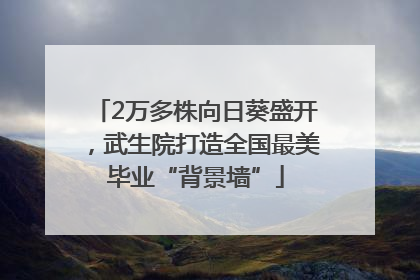 2万多株向日葵盛开，武生院打造全国最美毕业“背景墙”