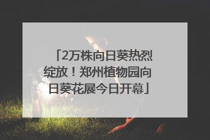 2万株向日葵热烈绽放！郑州植物园向日葵花展今日开幕