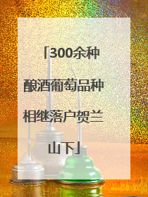 300余种酿酒葡萄品种相继落户贺兰山下