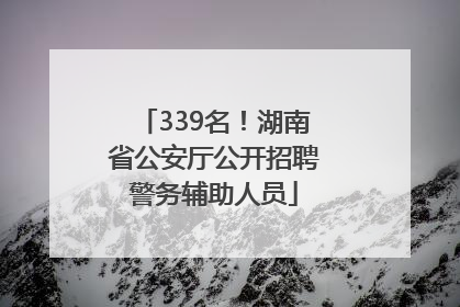 339名！湖南省公安厅公开招聘警务辅助人员