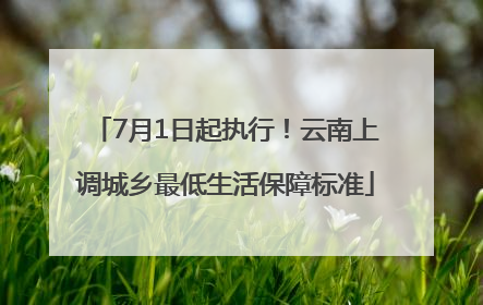 7月1日起执行！云南上调城乡最低生活保障标准