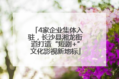 4家企业集体入驻，长沙县湘龙街道打造“短剧+”文化影视新地标